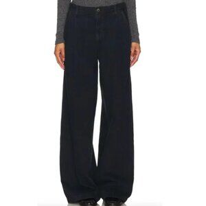 NWT Agolde Ellis Trouser in Crushed (25)